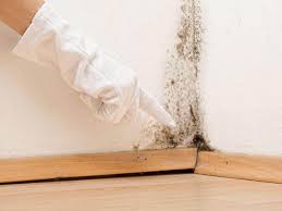 Best Basement Mold Removal  in Sweetser, IN